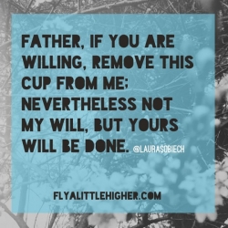 Father if you are willing, remove this cup from me; nevertheless, not my will but your will be done.